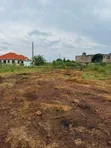 Plot for Sale in Kira-Kitukutwe - 1