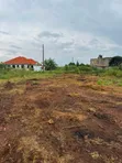 Plot for Sale in Kira-Kitukutwe - 2