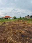 Plot for Sale in Kira-Kitukutwe - 3