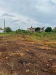 Plot for Sale in Kira-Kitukutwe - 4