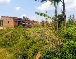 Residential Plot for Sale - Mukono TC