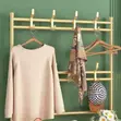 Large Metallic Golden Shoe Rack with Coat Hanger - 1