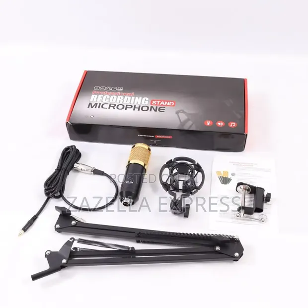 BM800 Professional Condenser Microphone Kit with Stand - 1