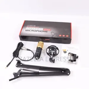 BM800 Professional Condenser Microphone Kit with Stand