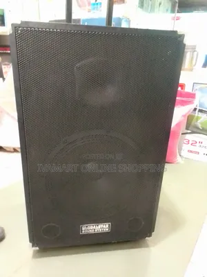 Globalstar Amplified Sound Speaker System with Microphone