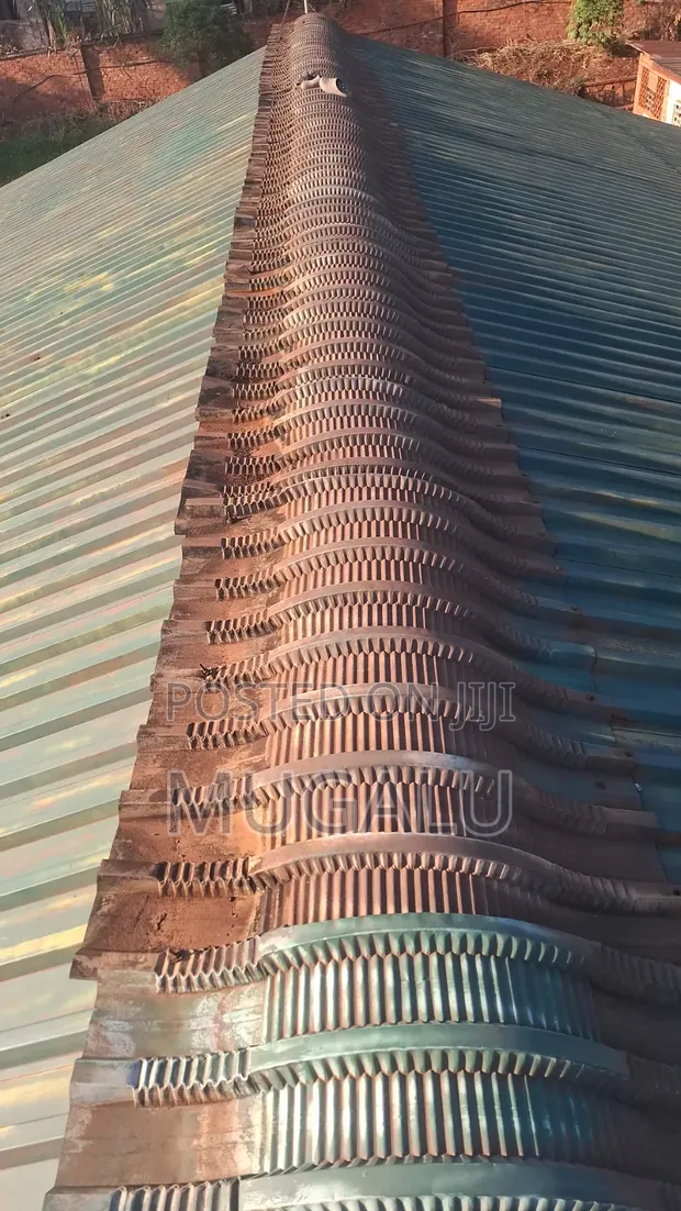 Roof Painting Services by Moshelity Constructions - 1