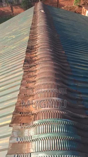 Roof Painting Services by Moshelity Constructions