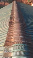 Roof Painting Services by Moshelity Constructions - 1