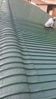 Roof Painting Services by Moshelity Constructions - 4