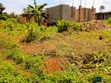 Entebbe Nkumba 25ft x 40ft Plot for Sale - 1