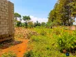 Entebbe Nkumba 25ft x 40ft Plot for Sale - 4