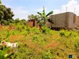 Entebbe Nkumba 25ft x 40ft Plot for Sale - 5