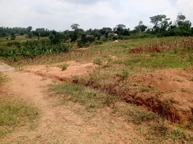 Land for Sale - Matuga - 1