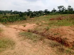 Land for Sale - Matuga