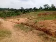 Land for Sale - Matuga - 1