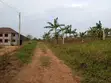 Land for Sale - Matugga - 4