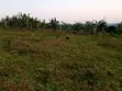 Land for Sale - Matugga - 5
