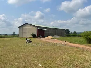 Grain Milling Business for Sale - Gulu