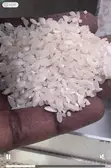 Grain Milling Business for Sale - Gulu - 5