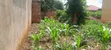 Residential Land with Houses for Sale in Gulu City - 3