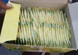 Kakira String and Tag Sugar Box - 3