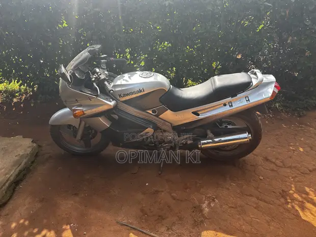 Kawasaki EX250 2004 Gray - 1