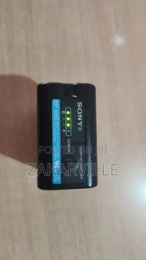 Sony BP-U60 Battery & Charger