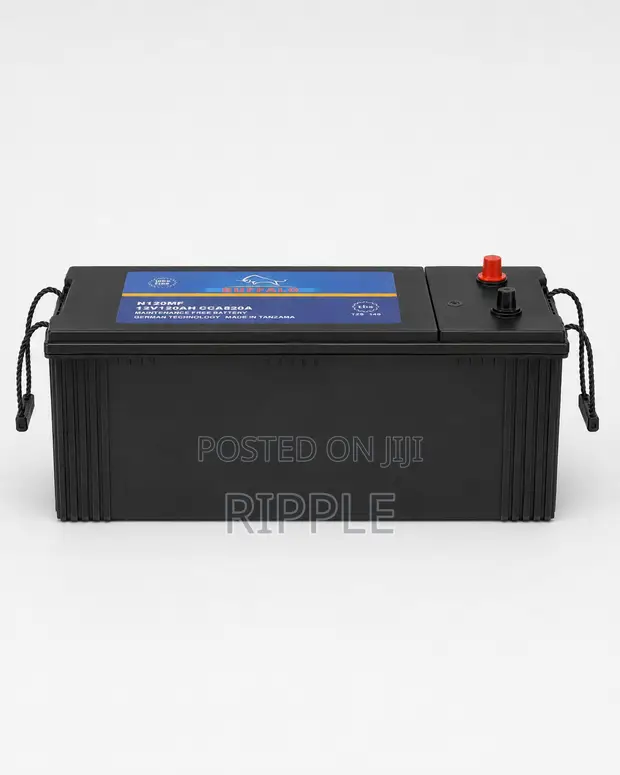 120Ah Buffalo N120 Maintenance-Free Car Battery 12V - 1