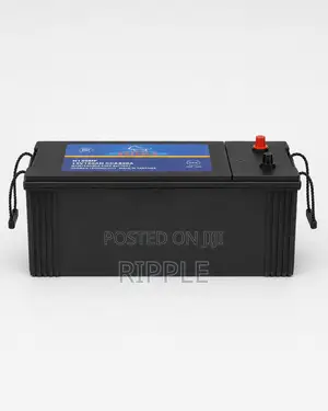 120Ah Buffalo N120 Maintenance-Free Car Battery 12V