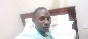 Hardworking Individual Seeking Employment