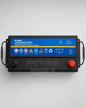 Buffalo N100 100Ah 720CCA Maintenance-Free Car Battery 12V