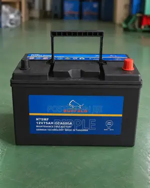 Buffalo N75 75Ah 600CCA 12V Maintenance-Free Car Battery