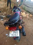 Bajaj CT 125X 2023 Red - 1