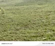 Farmland for Sale in Mubende - 5