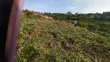 Mbalala Land for Sale - Jomayi Estate - 2