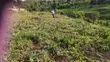 Mbalala Land for Sale - Jomayi Estate - 4