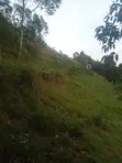 Hillside Land Overlooking Lake Bunyonyi - 1