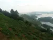 Hillside Land Overlooking Lake Bunyonyi - 2