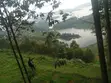 Hillside Land Overlooking Lake Bunyonyi - 3