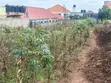 Land for Sale - Seeta Bajjo Canaan Estate - 3