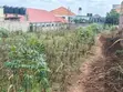 Land for Sale - Seeta Bajjo Canaan Estate - 4