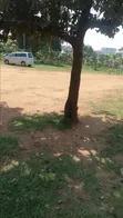 Prime Residential Investment Property for Sale - Busega, Nateete - 5