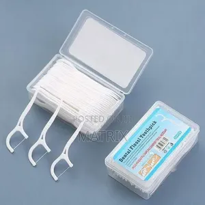 30pcs Dental Floss Picks Toothpicks