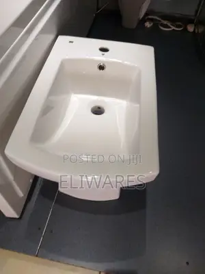 Female Bidet - Brand New