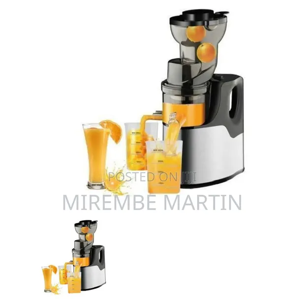 Professional Slow Masticating Juicer & Cold Press Extractor - 1