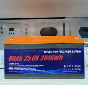 80Ah 24V Lithium Phosphate Battery
