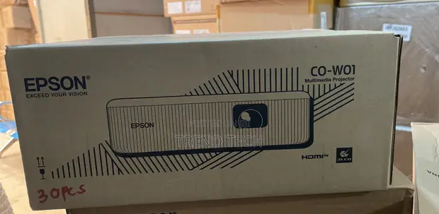 Epson CO-W01 Projector - 1