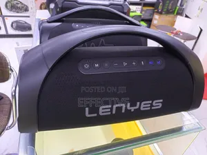 Lenyes S873 PartyWild Speaker with 2 Wireless Mics