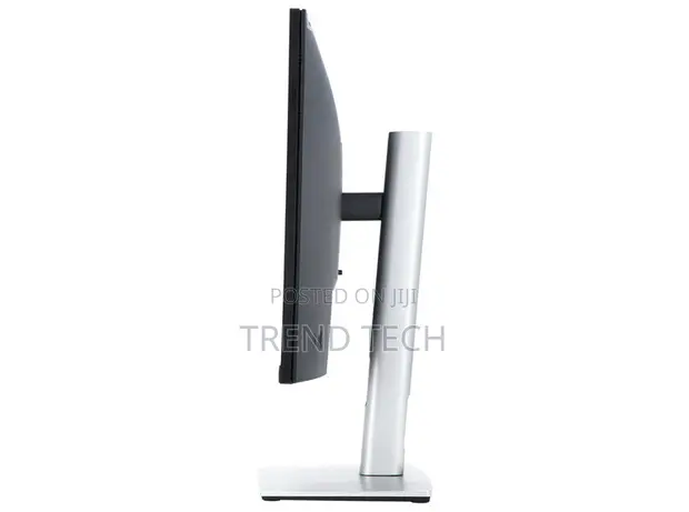 Dell P2422h Professional Monitor - 1