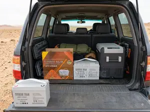 Sunshine 100Ah Maintenance-Free Battery